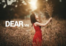 Tại sao không thể vui cho hết một đời? 11