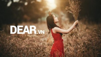 Tại sao không thể vui cho hết một đời? 1