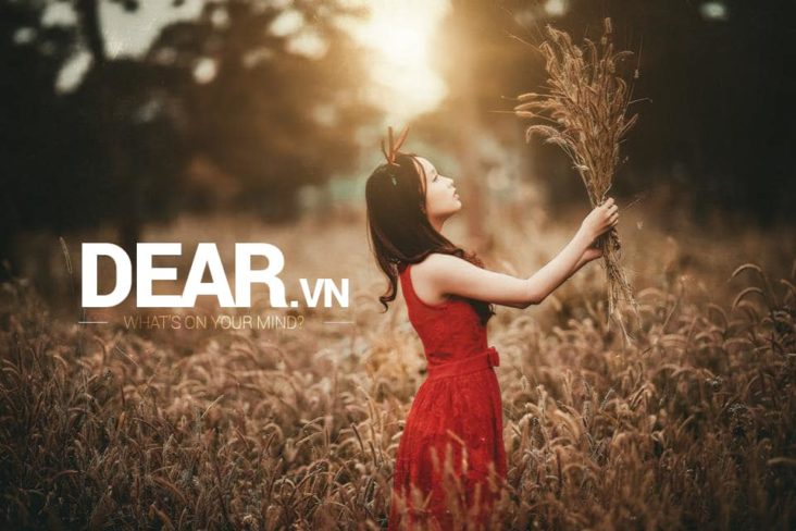 Tại sao không thể vui cho hết một đời? 13 Tại sao không thể vui cho hết một đời? 1