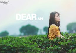 Ai mới thật sự là người đàn ông của cuộc đời bạn? 2 Ai mới thật sự là người đàn ông của cuộc đời bạn? 2