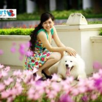 Ly hôn vì… vợ quá yêu chó! 2