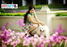 Ly hôn vì… vợ quá yêu chó! 2