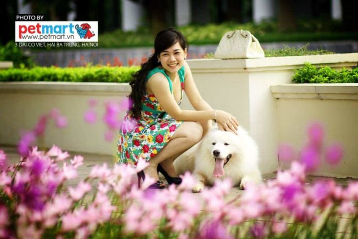 Ly hôn vì… vợ quá yêu chó! 13 Ly hôn vì… vợ quá yêu chó! 1