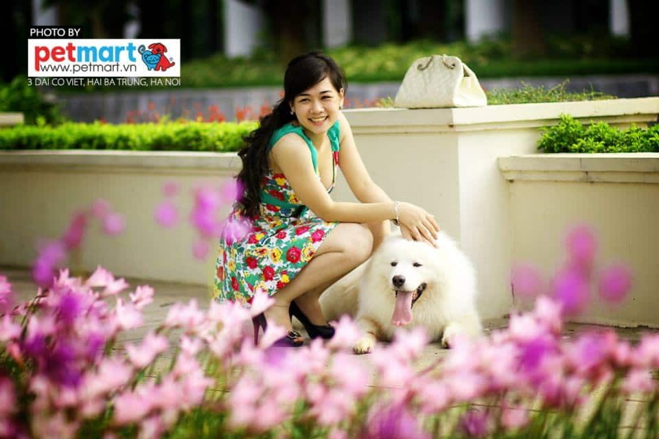 Ly hôn vì… vợ quá yêu chó! 1