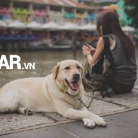 Giá như, nỗi buồn không phải “một mình” nữa, thì người cô đơn cũng thấy bớt cô đơn! 22 Giá như, nỗi buồn không phải “một mình” nữa, thì người cô đơn cũng thấy bớt cô đơn! 4
