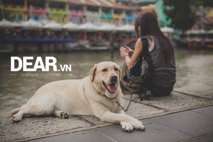 Giá như, nỗi buồn không phải “một mình” nữa, thì người cô đơn cũng thấy bớt cô đơn! 13 Giá như, nỗi buồn không phải “một mình” nữa, thì người cô đơn cũng thấy bớt cô đơn! 1