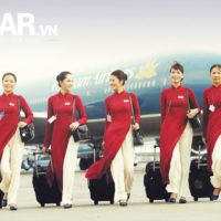 Thư gửi mẹ của một tiếp viên hàng không 3
