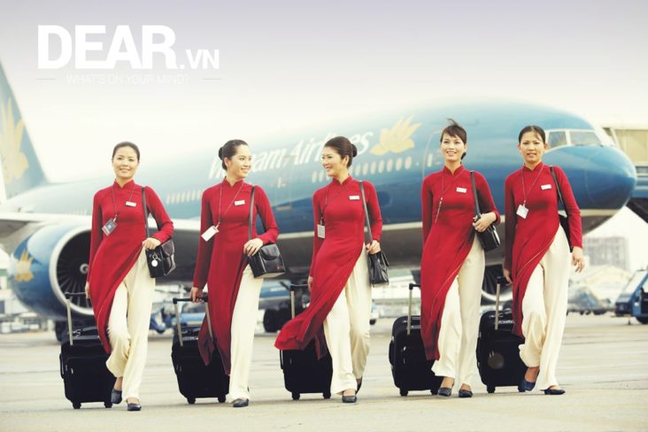 Thư gửi mẹ của một tiếp viên hàng không 1