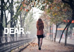 Cuộc đời buồn quá, nên cô đơn cũng thành quen... 11 Cuộc đời buồn quá, nên cô đơn cũng thành quen... 5