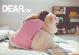 Khi người yêu cũ có người yêu mới... 7 Khi người yêu cũ có người yêu mới... 7