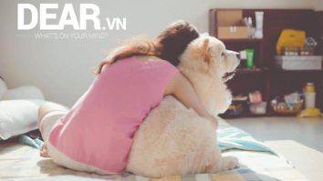 Khi người yêu cũ có người yêu mới... 1