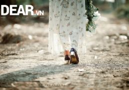 Cám ơn cuộc sống vì đã dạy tôi... tha thứ... 5 Cám ơn cuộc sống vì đã dạy tôi... tha thứ... 5