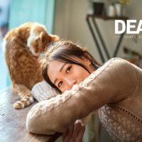 Chòm sao nữ nào làm vợ giỏi nhất? 4