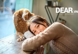 Chòm sao nữ nào làm vợ giỏi nhất? 7 Chòm sao nữ nào làm vợ giỏi nhất? 6