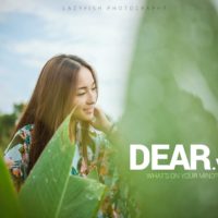 Vận mệnh người tuổi Hợi trong năm 2015 21 Vận mệnh người tuổi Hợi trong năm 2015 3