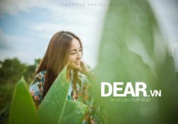 Vận mệnh người tuổi Hợi trong năm 2015 10