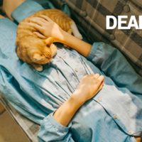 Vận mệnh người tuổi Mão trong năm 2015 22 Vận mệnh người tuổi Mão trong năm 2015 3