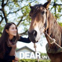 Vận mệnh người tuổi Ngọ trong năm 2015 3