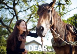 Vận mệnh người tuổi Ngọ trong năm 2015 4 Vận mệnh người tuổi Ngọ trong năm 2015 4