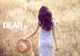 Không phải cứ là con gái ai cũng phải lấy chồng đâu... 2 Không phải cứ là con gái ai cũng phải lấy chồng đâu... 2