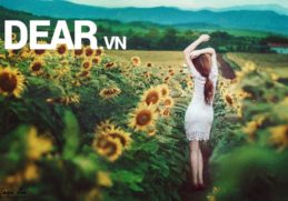 Những cơn phù phiếm của đàn bà... 2 Những cơn phù phiếm của đàn bà... 2
