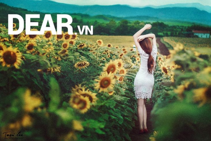 Những cơn phù phiếm của đàn bà... 13 Những cơn phù phiếm của đàn bà... 1