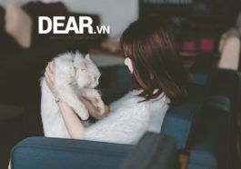 Con gái à trên đời này không có bài học nào miễn phí! 8
