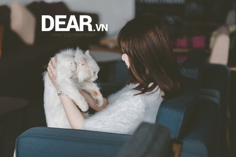 Con gái à trên đời này không có bài học nào miễn phí! 1