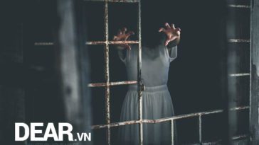 Những câu chuyện không thể bỏ qua nếu bạn hay thức khuya