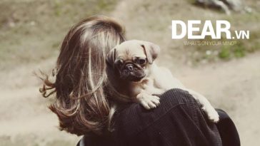 Tình yêu thường bắt đầu bởi lòng tin... và kết thúc bằng sự thật 3