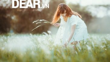 Bởi vì trái tim của một cô gái Song Tử là thế đó anh à... 2