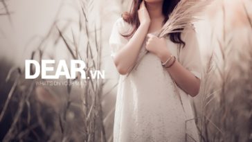 Chuyện thích một người, chỉ thế mà thôi... 3