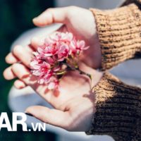 Hãy trân trọng cuộc sống và đừng bao giờ trách móc bất kì ai 21 Hãy trân trọng cuộc sống và đừng bao giờ trách móc bất kì ai 2