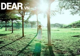Hẹn anh vào một ngày nắng đẹp 8