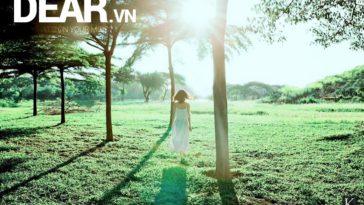 Hẹn anh vào một ngày nắng đẹp 1