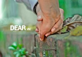 Những điều giản dị nhất của tình yêu 8