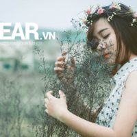 Sao em ngốc thế, hả em? 21 Sao em ngốc thế, hả em? 2