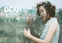 Sao em ngốc thế, hả em? 1 Sao em ngốc thế, hả em? 1