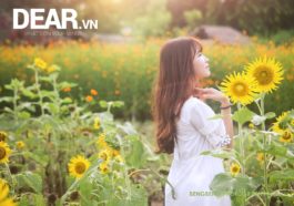 Tuổi 23 ấy mà... 5 Tuổi 23 ấy mà... 1