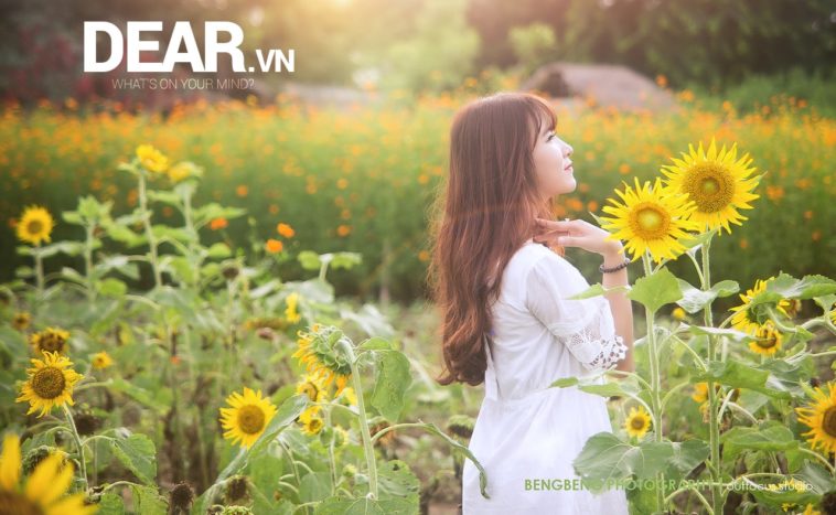 Tuổi 23 ấy mà... 1