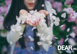Tuổi trẻ đã trôi đi mất chưa? 11