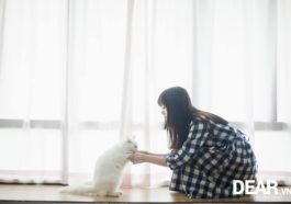Viết cho cậu, những người đang và sẽ yêu cô ấy... 6 Viết cho cậu, những người đang và sẽ yêu cô ấy... 4