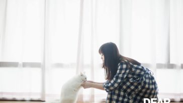 Viết cho cậu, những người đang và sẽ yêu cô ấy... 3