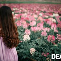 Bởi vì độc thân thì khác hoàn toàn với gái ế 3