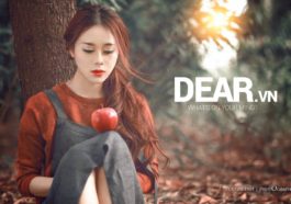 Bởi vì tình yêu thì chẳng bao giờ giống như chuyện cổ tích 2