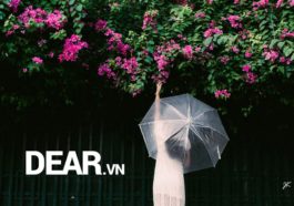 Cảm ơn món quà cậu tặng cho tớ trong những ngày ta sắp xa 2