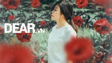 Đôi khi không có ai lừa dối bạn. Chỉ vì bạn quá ngốc mà thôi... 3