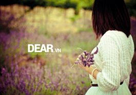 Gửi cho anh, người mà em lỡ thích... 4