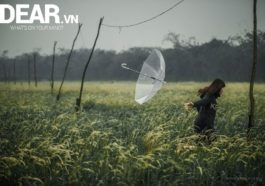 Bởi vì tình yêu cũng cần lí trí... 8 Bởi vì tình yêu cũng cần lí trí... 7