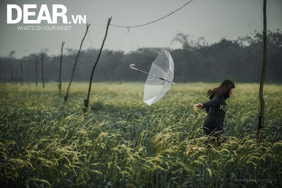Bởi vì tình yêu cũng cần lí trí... 3 Bởi vì tình yêu cũng cần lí trí... 2